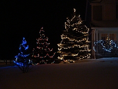 019 A2 Snowfall & Trees [2008 Dec 20]